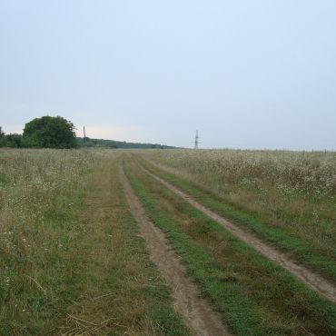 Старая Гута