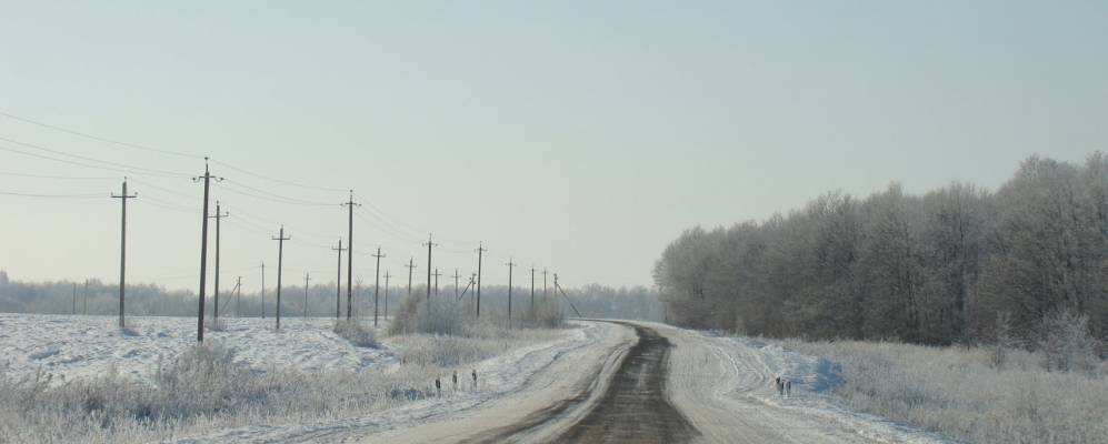 
            Фотография Кулиги