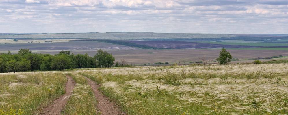 Саратовская область балтайский