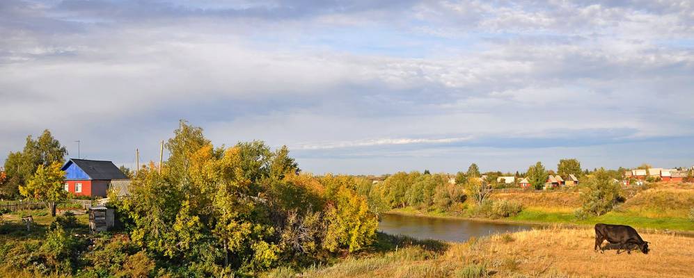 
            Фотография Стародубки