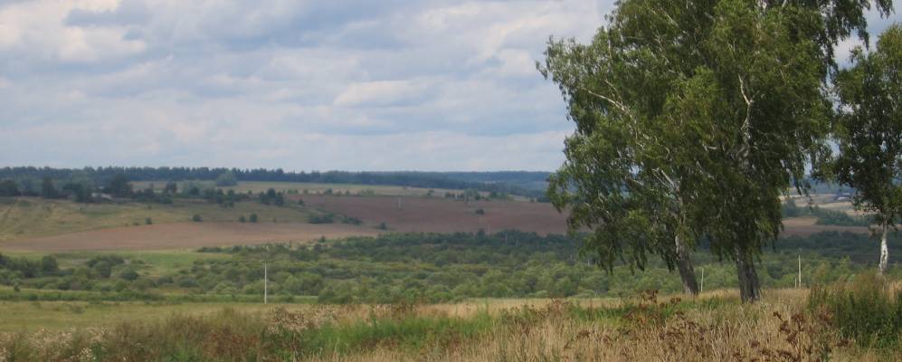 Дер фоминская. Фоминское Костромская область. Село Фоминское Костромской район. Фоминский район Костромская обл. Фото Фоминское Костромской области.