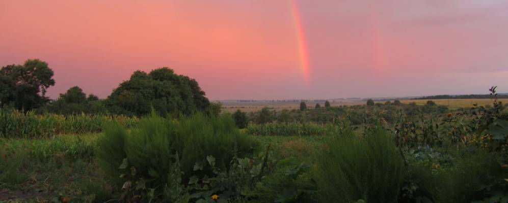 
            Фотография Кучовки