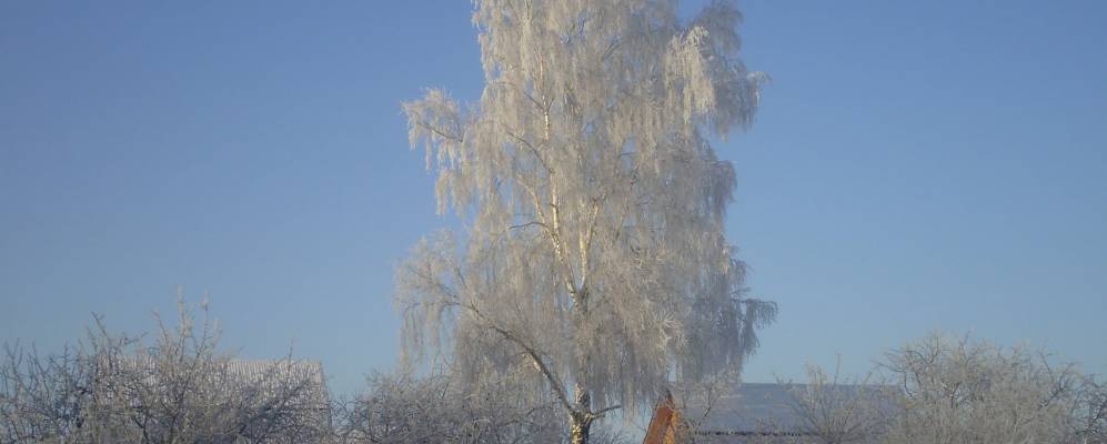 
            Фотография Иншино