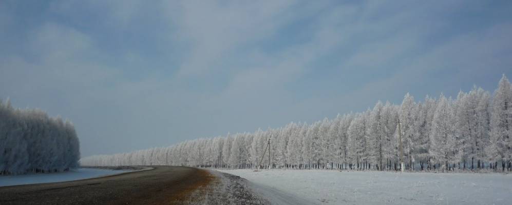 
            Фотография Буляково