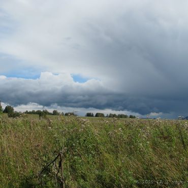 Арсеново