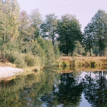 Гусево