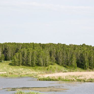 Пеньково