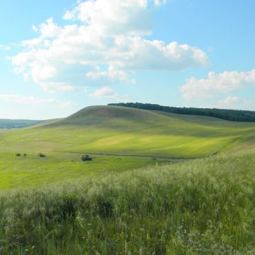 Нижняя Алексеевка