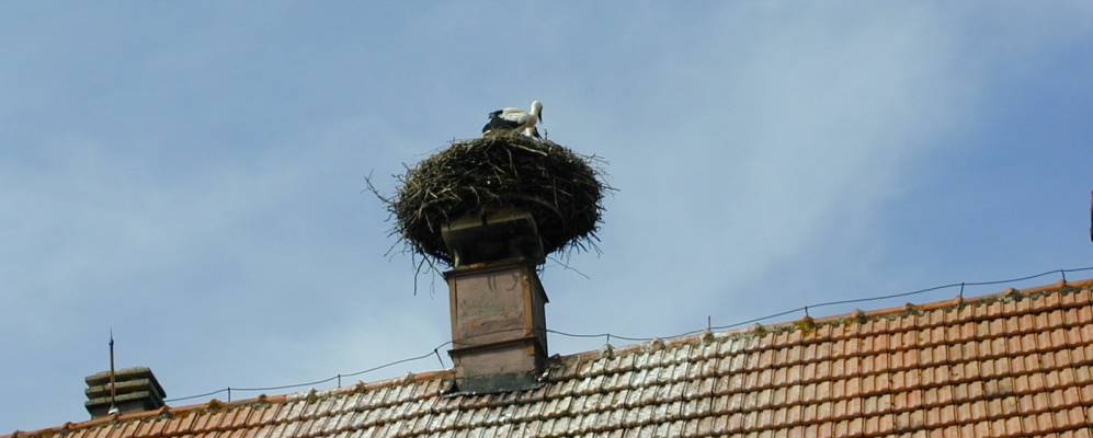 Фотография Обермодерн