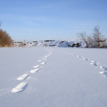 Красная Яблонка