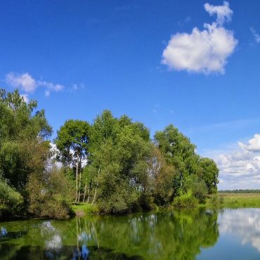 Волосковцы