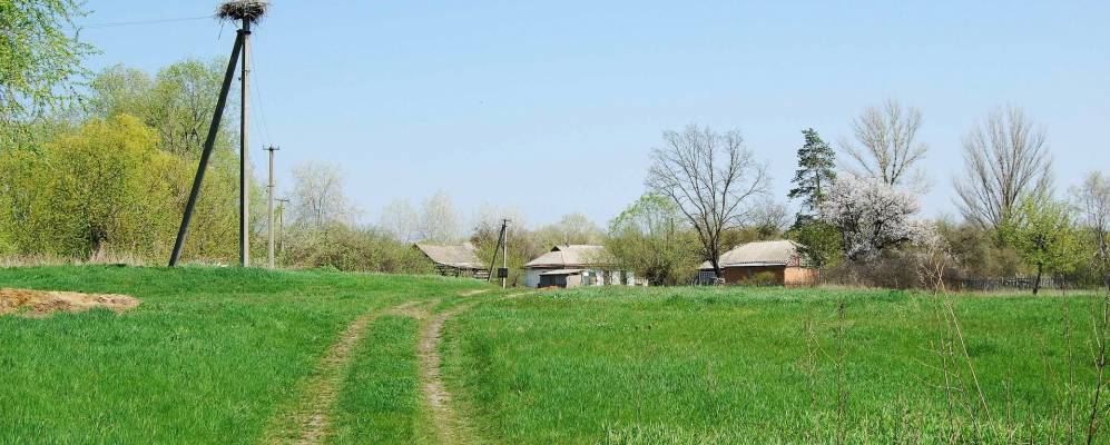 Село полтавское. Козельщинский район Полтавской области. Село Бреусовка Полтавская область. Хоришки Полтавская область. Козельщинский район Полтавской области село Бреусівка.