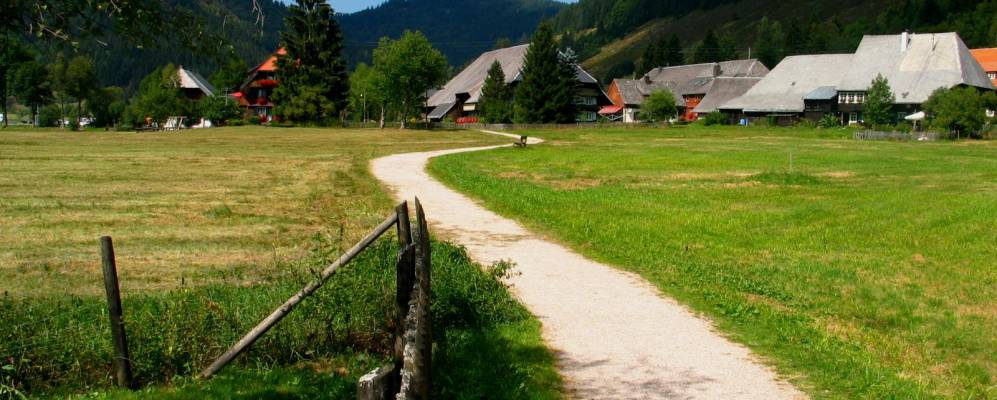 
            Фотография Menzenschwand-Hinterdorf