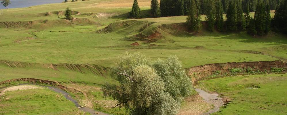 Фотография Старой Тушки