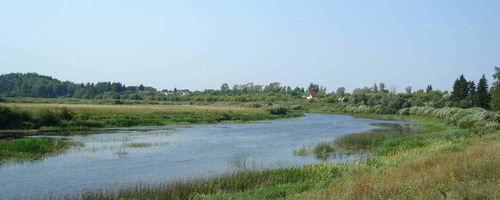 
            Фотография Городища