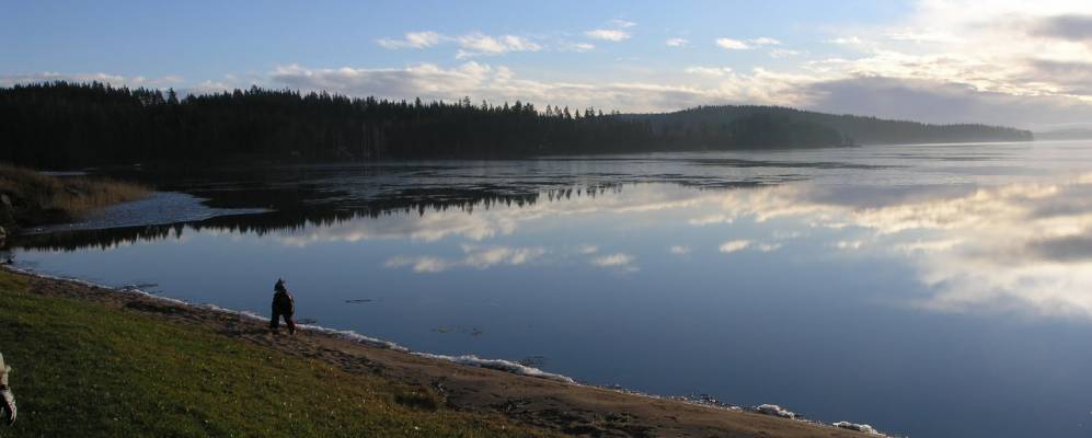 
            Фотография Sandviken