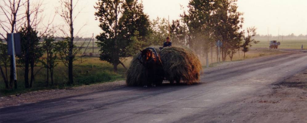 
            Фотография Сидоровщины