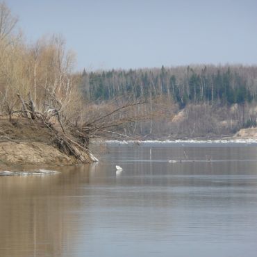 Елизарово