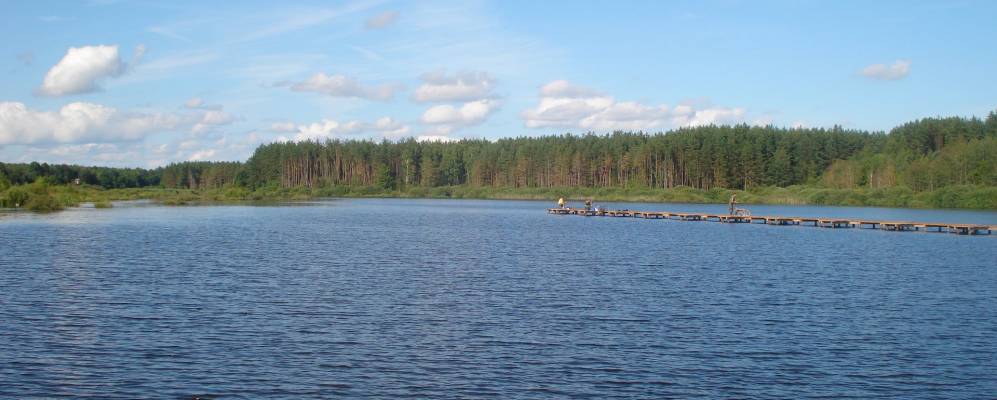 
            Фотография Новгородского