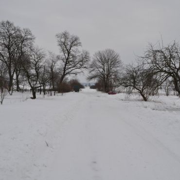 Великий Шпаков