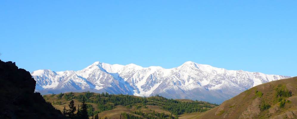 
            Фотография Курая