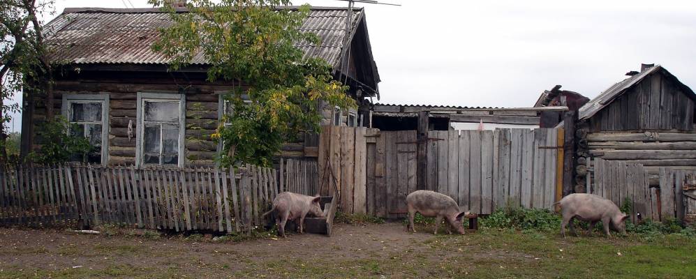 
            Фотография Томской