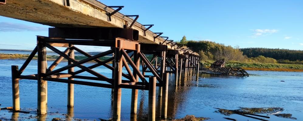 Фотография Венского