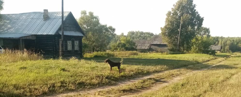 
            Фотография Печищей