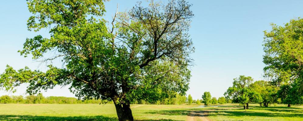 
            Фотография Горной Поляны