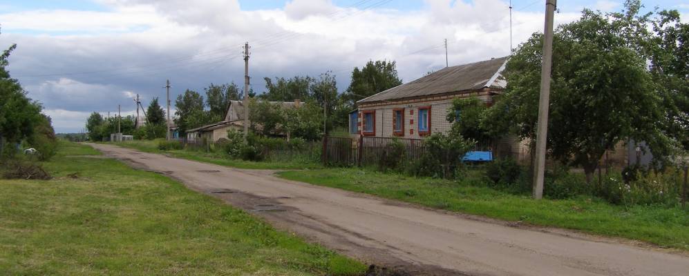 
            Фотография Городища