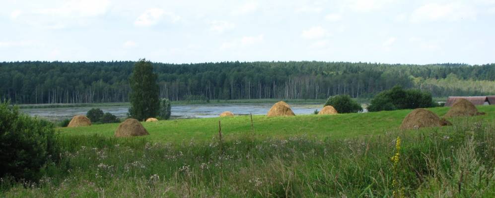 
            Фотография Боровиково