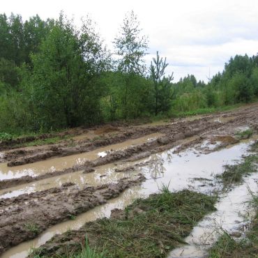 Сатеево