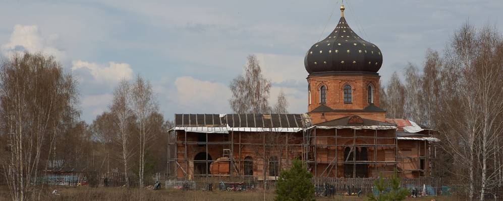 
            Фотография Жабок