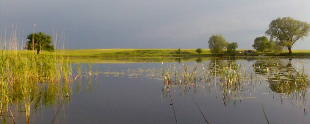 
            Фотография Башаровки