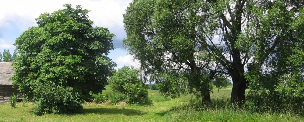 
            Фотография агрогородка Сватошицы