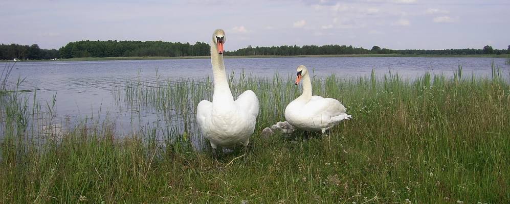 
            Фотография Горники