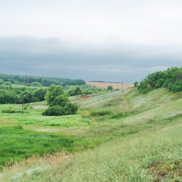 Первая Сухая Неполка