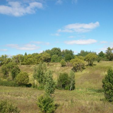 Башево