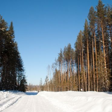 Викуленки