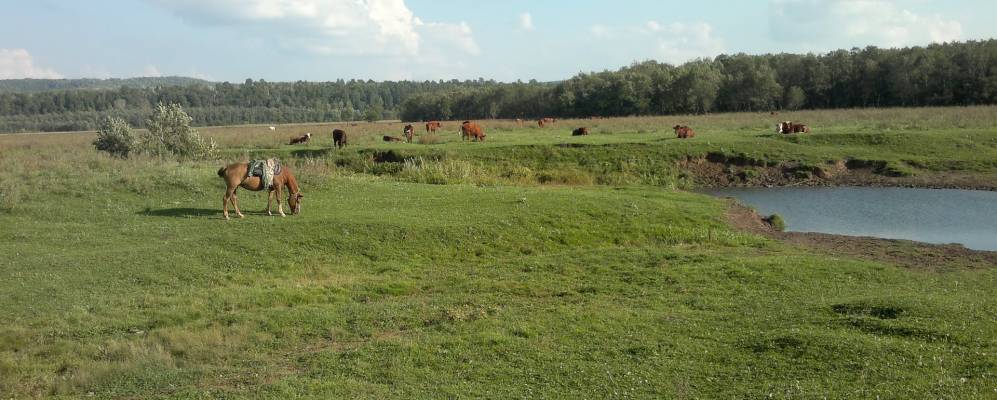 Село умирово карта