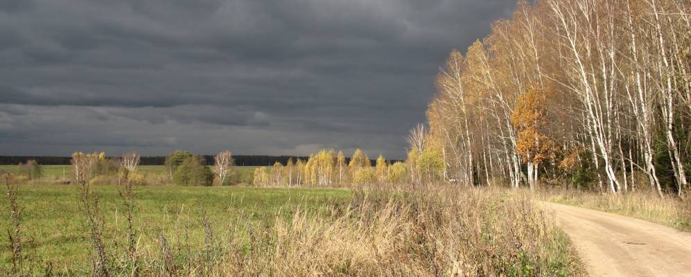 
            Фотография Бортнево