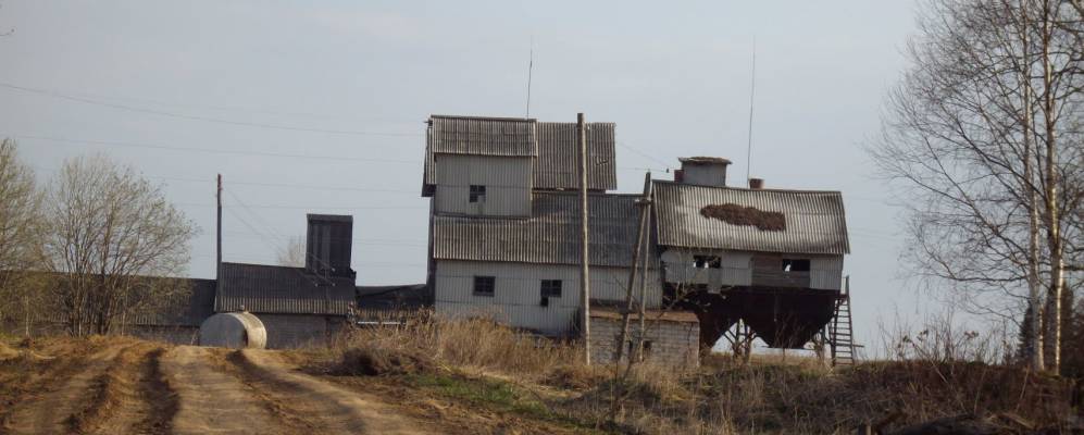 
            Фотография Пуштовая