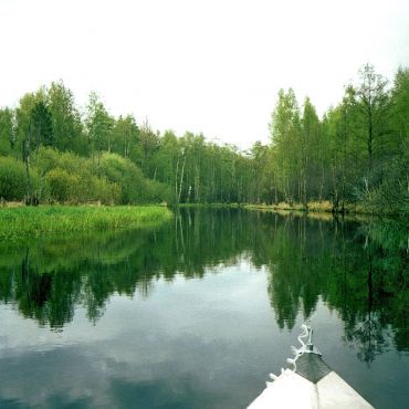 Сусельница