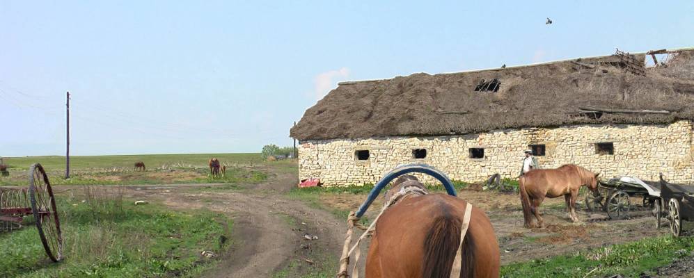 Тульская область деревня ивановка. Михайловское Тульская область. Михайловское Тульская область Куркинский.