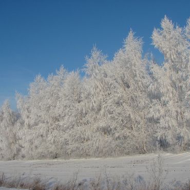 Возрождение