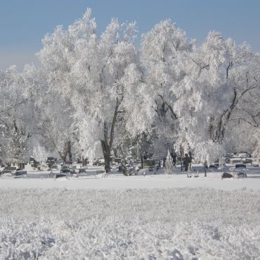 Платтевилл