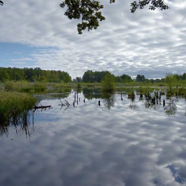 Гусево