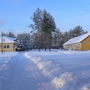 Владимирский