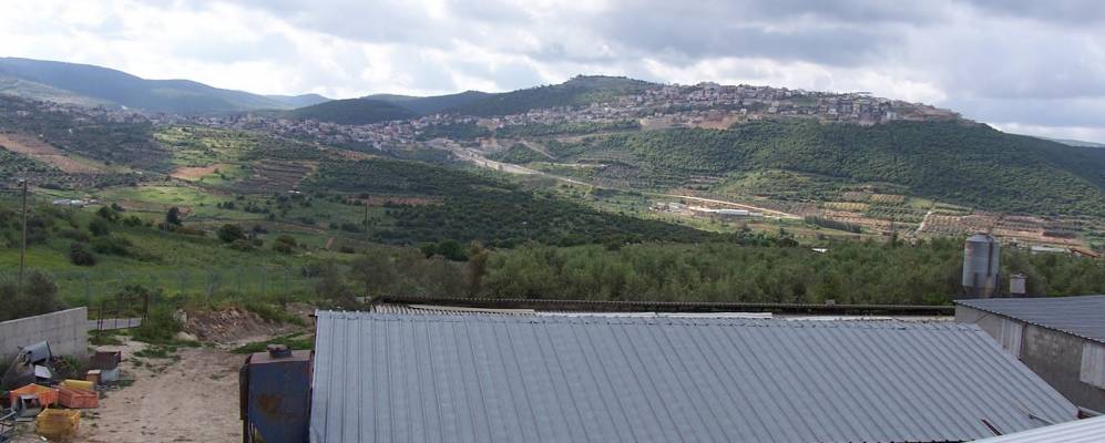 
            Фотография Elqosh