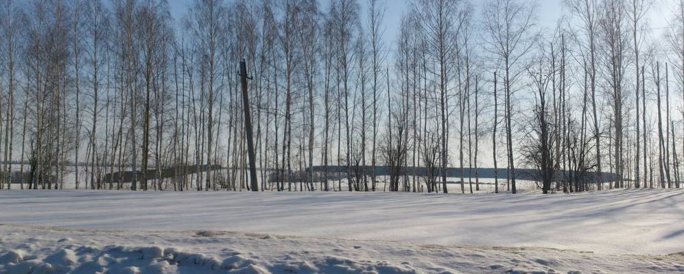 
            Фотография Новокильбахтино